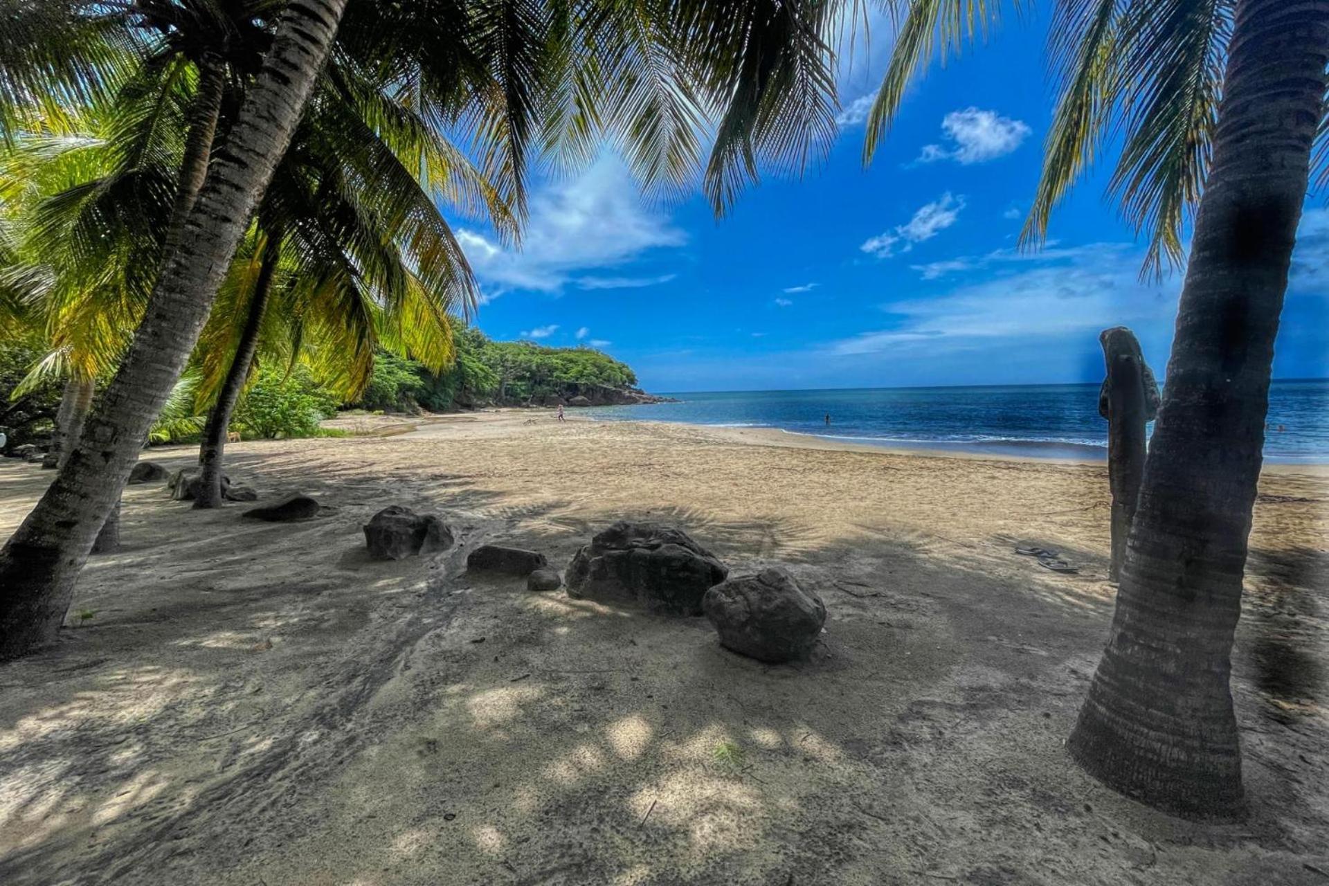 L'Escapade Naturelle ปวงต์-นัวร์ ภายนอก รูปภาพ
