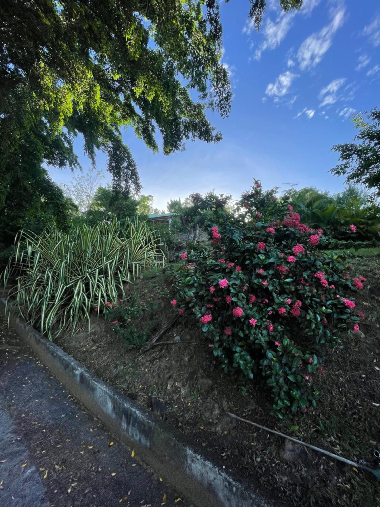 L'Escapade Naturelle ปวงต์-นัวร์ ภายนอก รูปภาพ