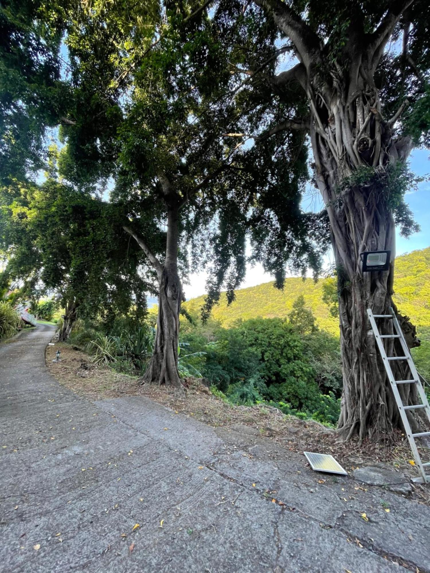 L'Escapade Naturelle ปวงต์-นัวร์ ภายนอก รูปภาพ
